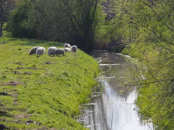 Kalkense Meersen (België)